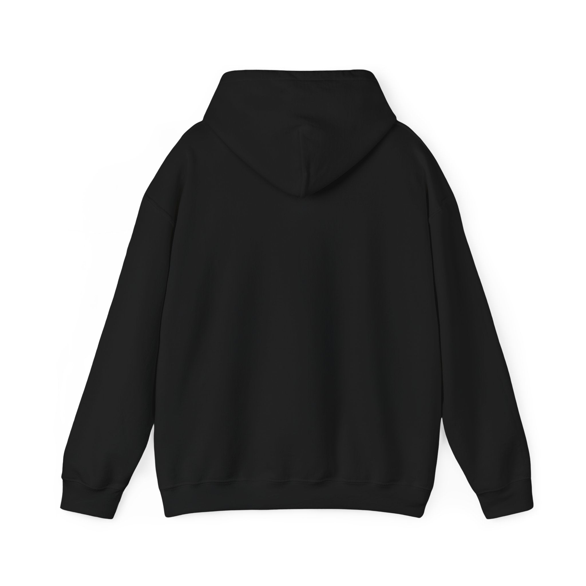 Eye Don't Chase Hooded Sweatshirt